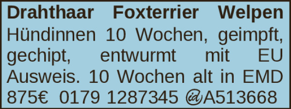 Vorschaubild der Anzeige, (Id: 1996505)