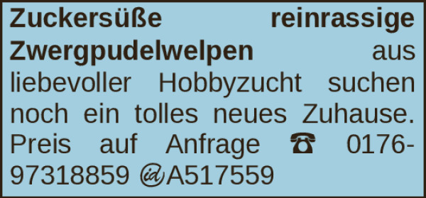 Vorschaubild der Anzeige, (Id: 2028937)