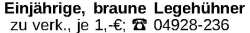 Vorschaubild der Anzeige, (Id: 1961161)