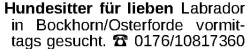 Vorschaubild der Anzeige, (Id: 1964171)