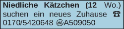 Vorschaubild der Anzeige, (Id: 1961479)