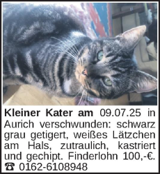 Vorschaubild der Anzeige, (Id: 1964111)
