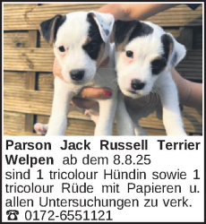 Vorschaubild der Anzeige, (Id: 1964715)