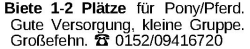 Vorschaubild der Anzeige, (Id: 1964071)