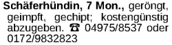 Vorschaubild der Anzeige, (Id: 1964074)
