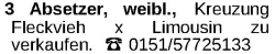 Vorschaubild der Anzeige, (Id: 1964685)