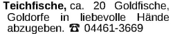 Vorschaubild der Anzeige, (Id: 1964674)