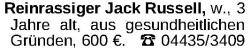 Vorschaubild der Anzeige, (Id: 1966164)