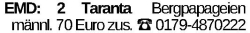 Vorschaubild der Anzeige, (Id: 1966132)