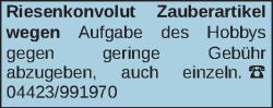 Vorschaubild der Anzeige, (Id: 1966138)
