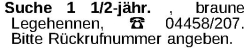 Vorschaubild der Anzeige, (Id: 1966445)