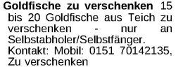 Vorschaubild der Anzeige, (Id: 1969891)