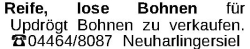 Vorschaubild der Anzeige, (Id: 1969478)