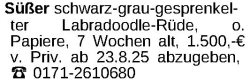 Vorschaubild der Anzeige, (Id: 1969427)