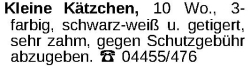 Vorschaubild der Anzeige, (Id: 1971069)
