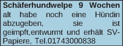 Vorschaubild der Anzeige, (Id: 1969836)