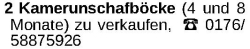 Vorschaubild der Anzeige, (Id: 1971556)