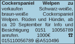 Vorschaubild der Anzeige, (Id: 1971541)