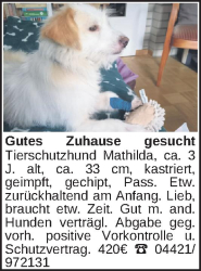Vorschaubild der Anzeige, (Id: 1973413)