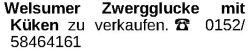 Vorschaubild der Anzeige, (Id: 1974685)