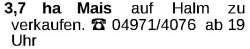 Vorschaubild der Anzeige, (Id: 1974657)