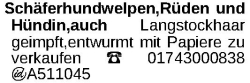Vorschaubild der Anzeige, (Id: 1977296)