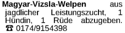 Vorschaubild der Anzeige, (Id: 1976830)