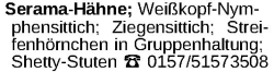 Vorschaubild der Anzeige, (Id: 1977135)