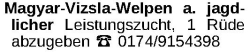 Vorschaubild der Anzeige, (Id: 1980622)