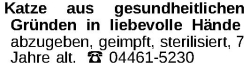 Vorschaubild der Anzeige, (Id: 1980588)