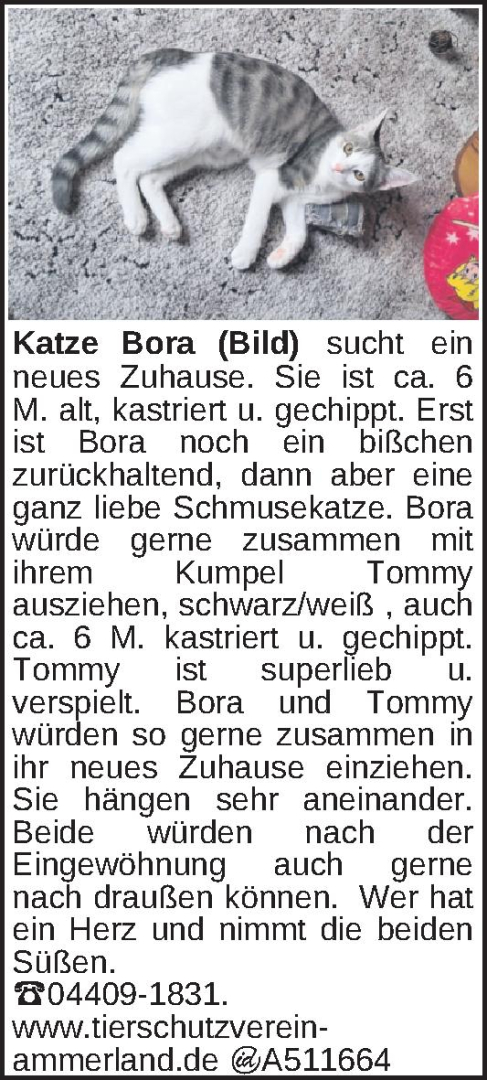 Vorschaubild 4 von 4