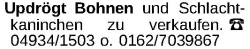 Vorschaubild der Anzeige, (Id: 1982547)