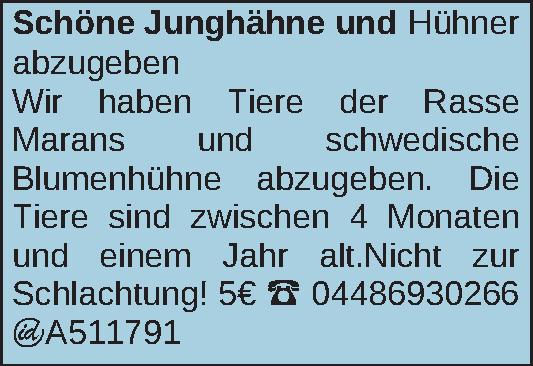 Vorschaubild 6 von 6
