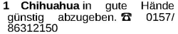 Vorschaubild der Anzeige, (Id: 1984717)