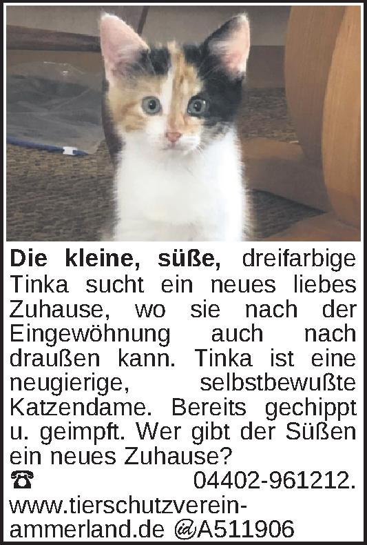 Vorschaubild 4 von 4