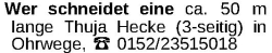 Vorschaubild der Anzeige, (Id: 1984624)