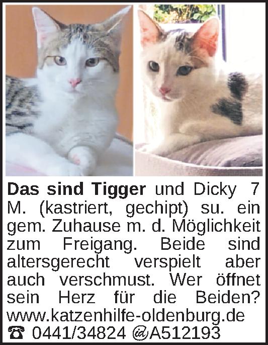 Vorschaubild 2 von 2