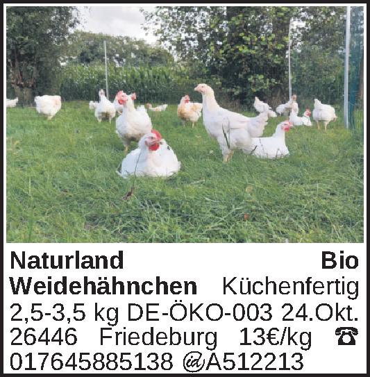 Vorschaubild 3 von 3