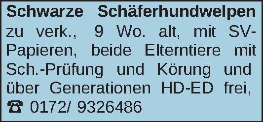 Vorschaubild der Anzeige