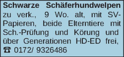 Vorschaubild der Anzeige, (Id: 1986858)