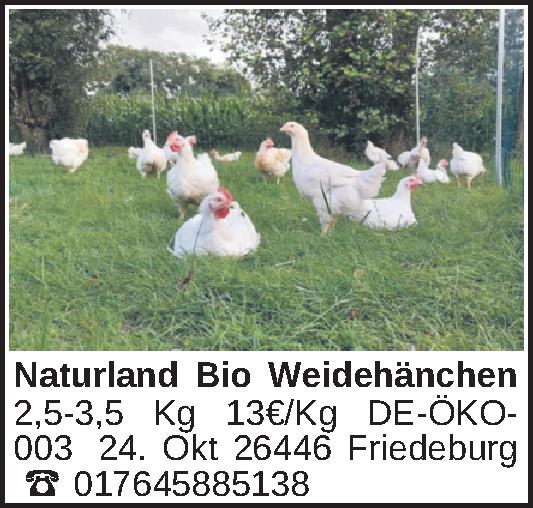 Vorschaubild 2 von 2