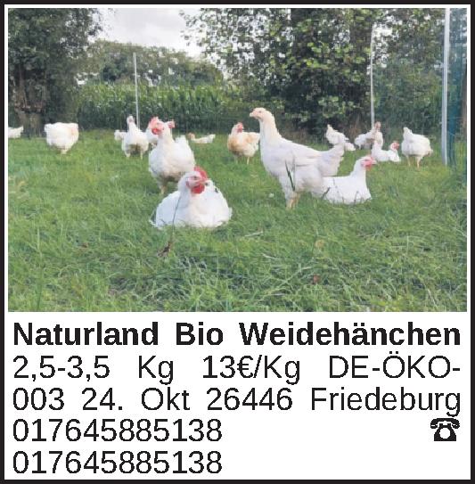Vorschaubild 2 von 2