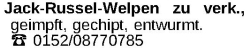 Vorschaubild der Anzeige, (Id: 1986208)