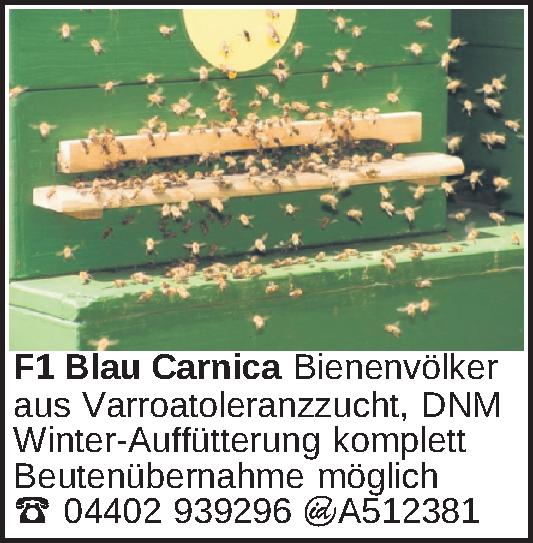 Vorschaubild 6 von 6