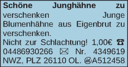 Vorschaubild der Anzeige, (Id: 1986768)