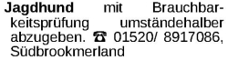 Vorschaubild der Anzeige, (Id: 1988361)