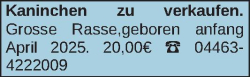 Vorschaubild der Anzeige, (Id: 1989786)