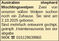 Vorschaubild der Anzeige, (Id: 2001979)