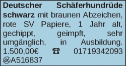 Vorschaubild der Anzeige, (Id: 2023199)