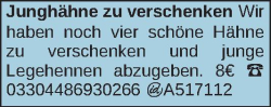 Vorschaubild der Anzeige, (Id: 2025259)